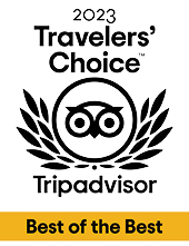 TripAdvisor Award
